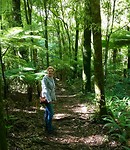 In the woods
