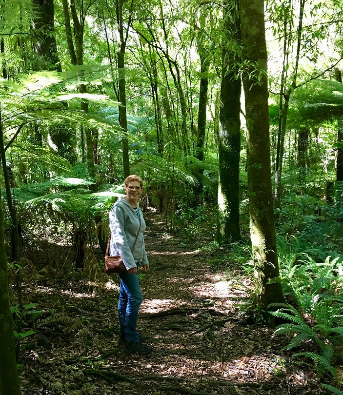 In the woods