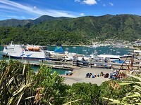 Picton