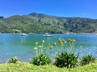 Marlborough Sounds