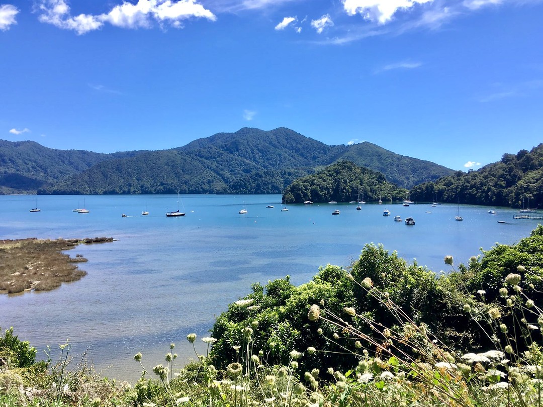Marlborough Sounds