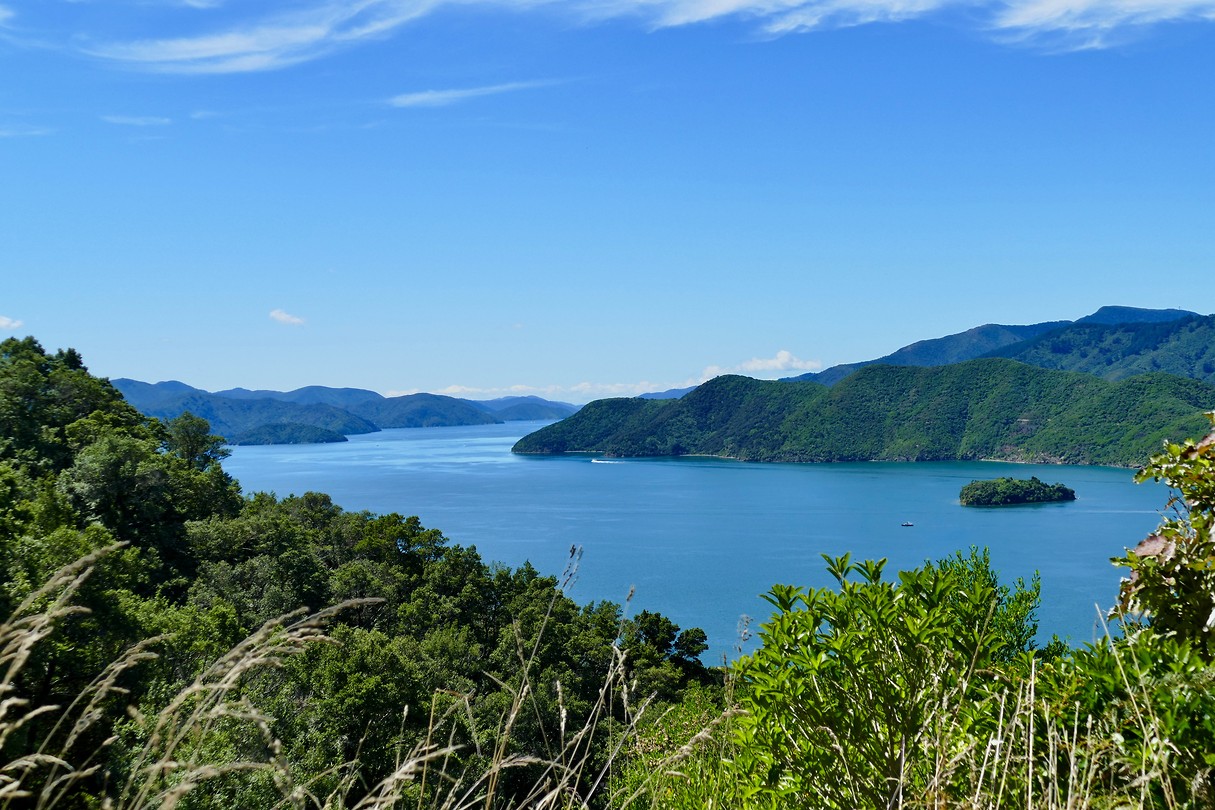 Marlborough Sounds