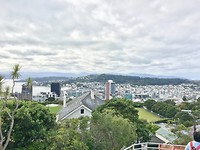 Uitzicht boven Wellington