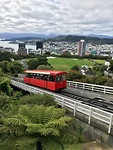 overview over Wellington
