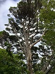 Botanische Tuin