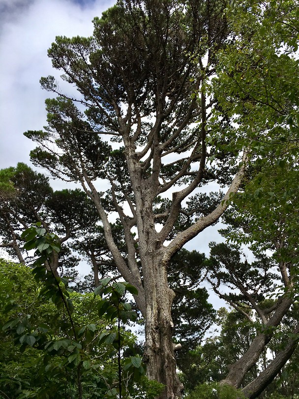 Botanische Tuin