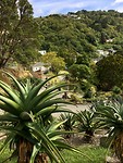 Botanische tuin