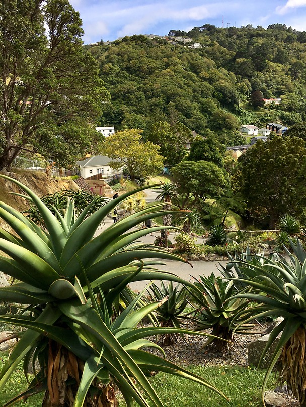 Botanische tuin