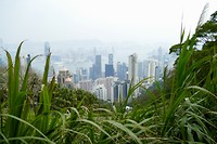 The Peak