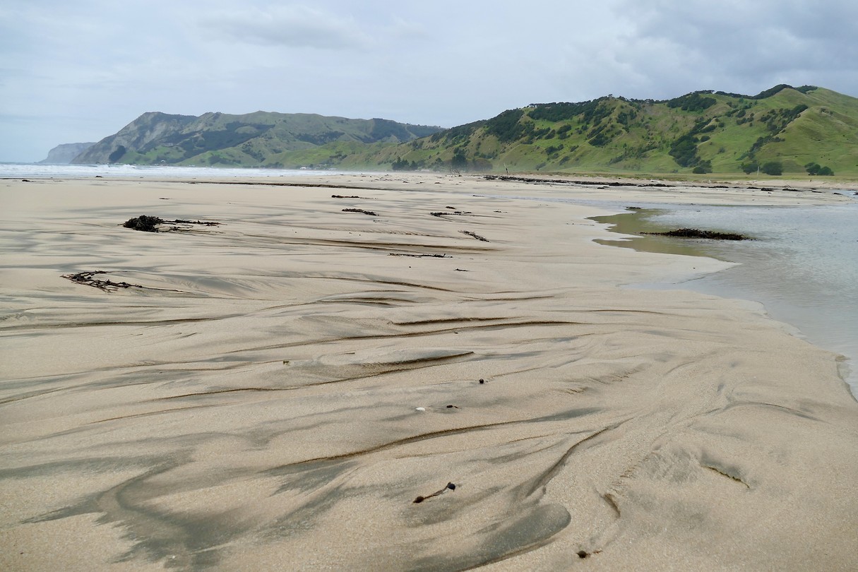 strand