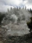 Mud pool