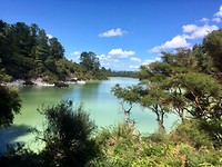 Wai-O-Tapu Park