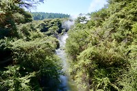 Wai-O-Tapu park (hierna park)