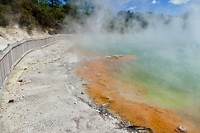 champagne pool