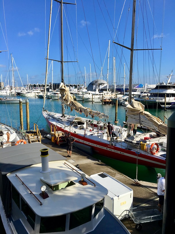 Viaduct Harbour