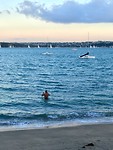 De baai van Devonport