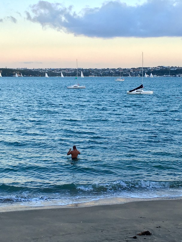 De baai van Devonport