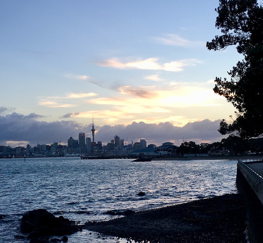 Zicht op Auckland vanaf Devonport