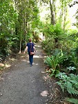 Into the wild