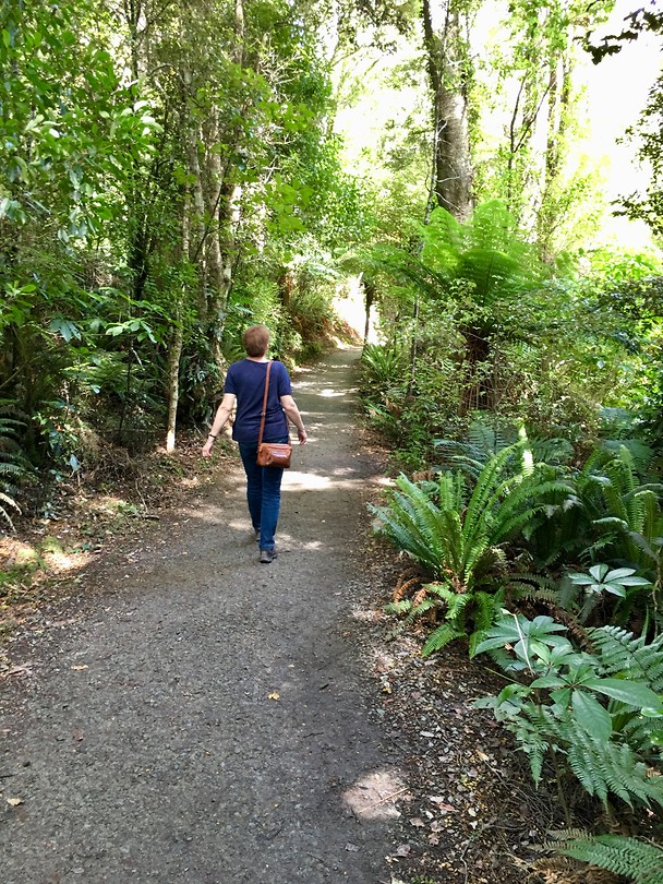 Into the wild