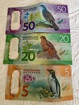 Nieuw Zeelandse Dollars