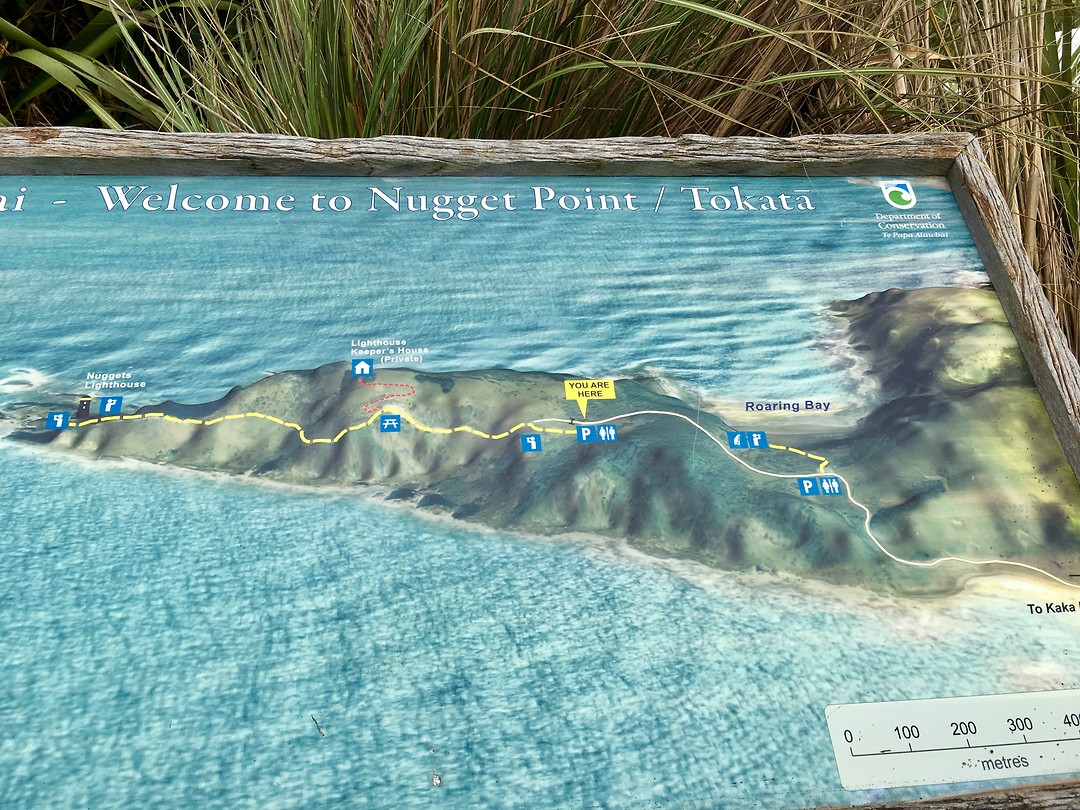 Nugget Point