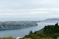 Dunedin