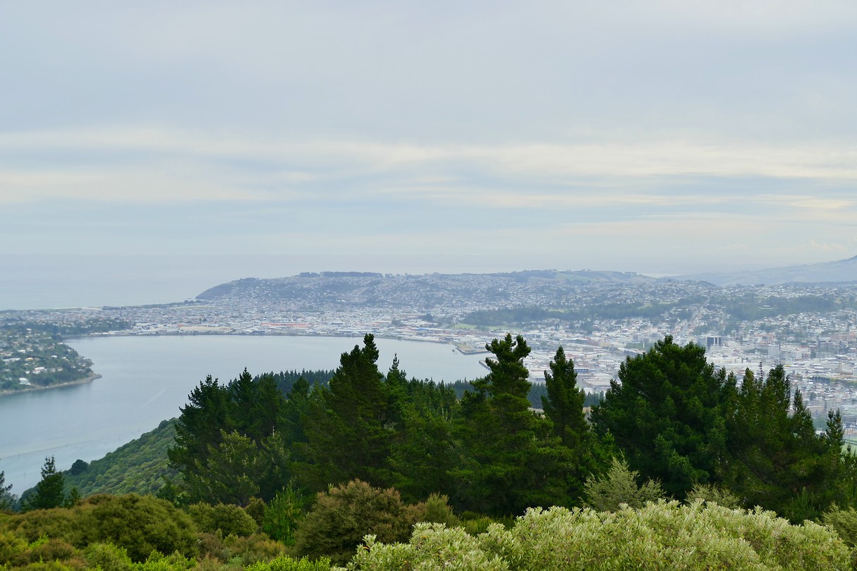 Dunedin