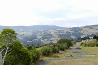 Dunedin