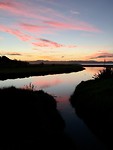 Coromandel