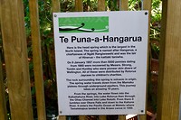 Te Puna Spring