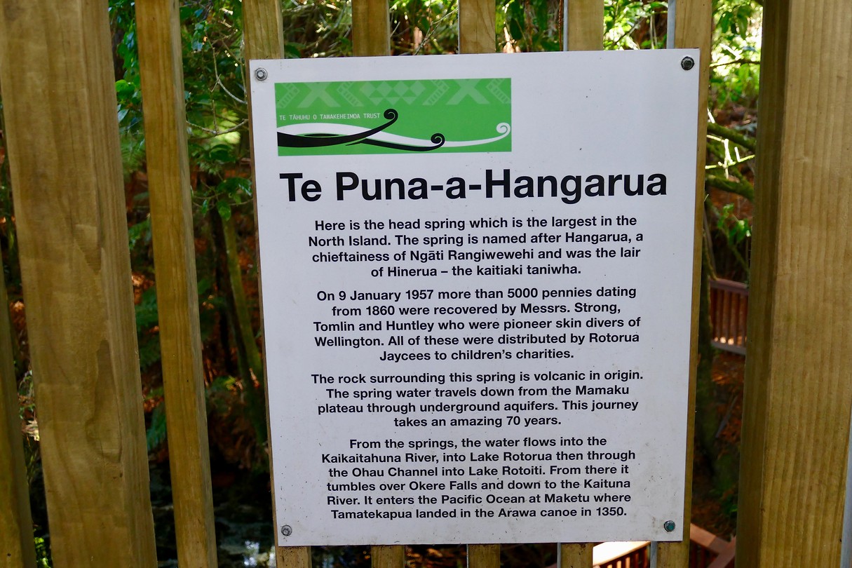 Te Puna Spring