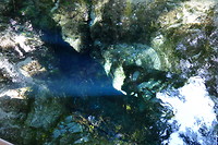 Te Puna Spring