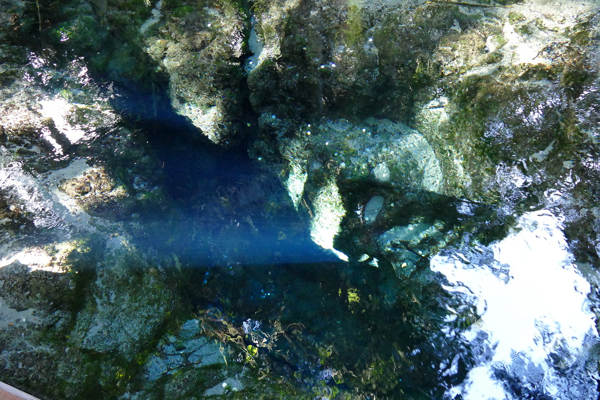 Te Puna Spring