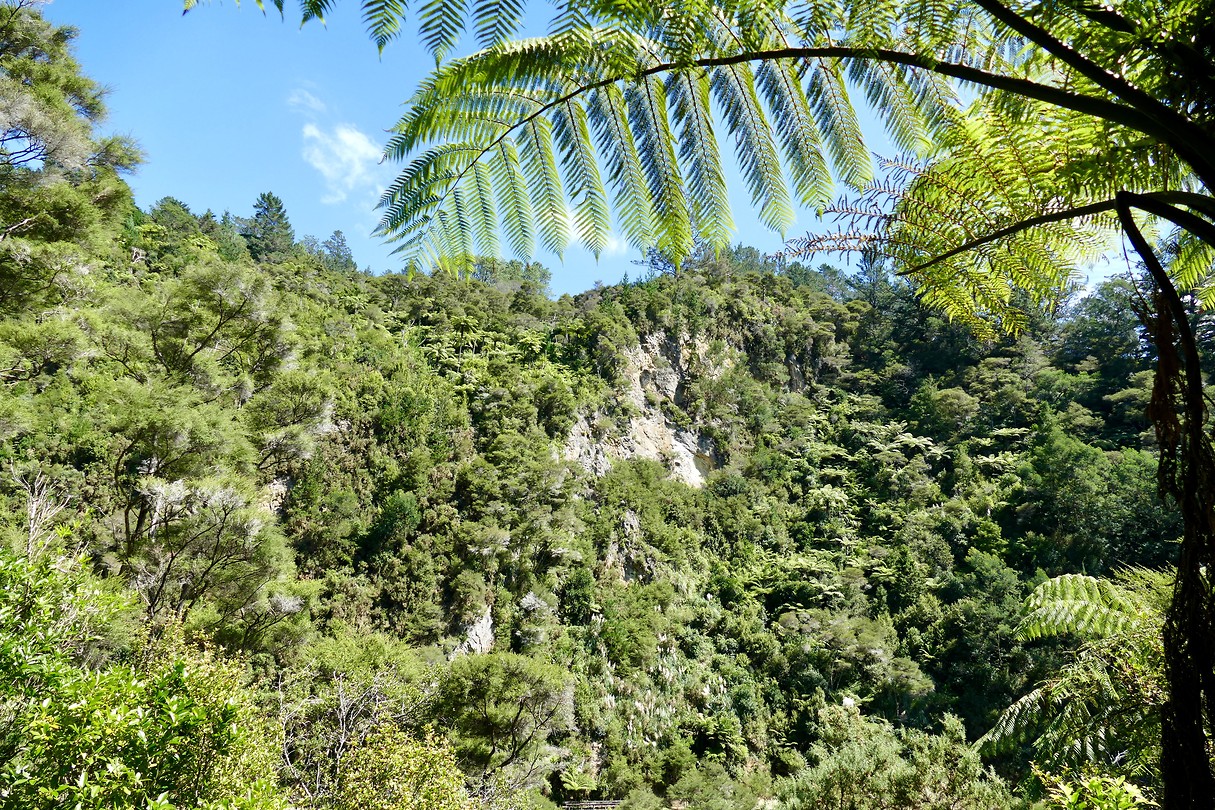 Karangahake