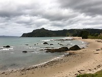 Coromandel