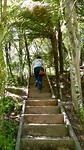 Karangahake