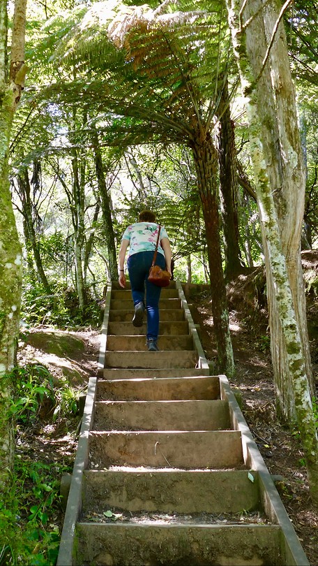 Karangahake