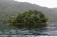 Eilandje in de Doubtful Sound
