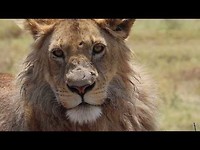 Tanzania - Marije van den Houten