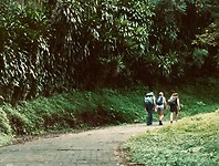 mombachowalkers