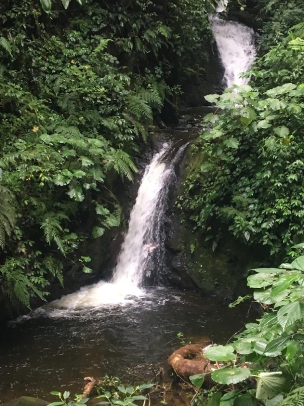 monteverde waterval