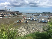 panamaboten