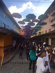 guatapeparasollen