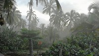 cuyabenojungle