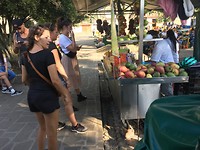 jardinmarkt