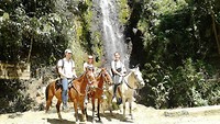 jardinpaard3