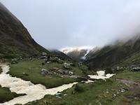 salkamooi