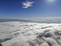 1000015228