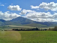 1000015676